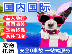 湛江航空物流国际宠物托运 【国